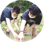 地域活動活動ぐる〜ぷほおずきのボランティア様子のサムネイル