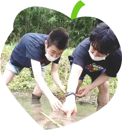 ボランティア募集