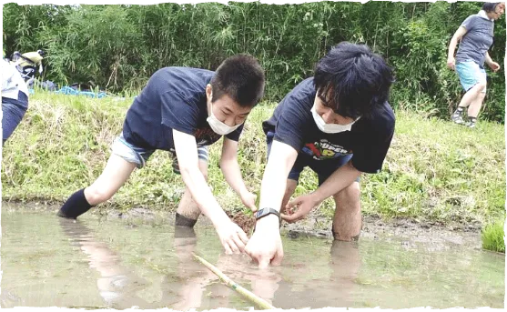 屋外のボランティア活動中の様子